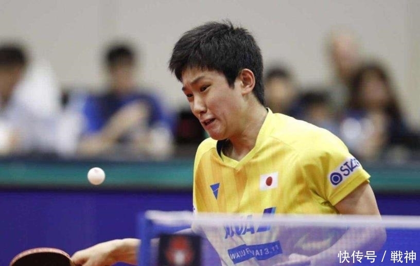 底推荐了什 底推荐了什